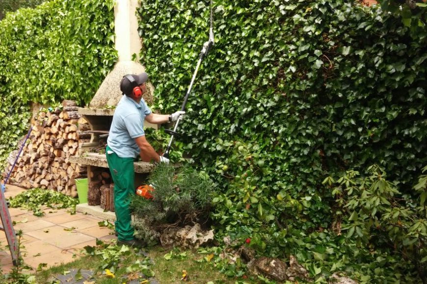 Trabajos de Jardinería en Burgos